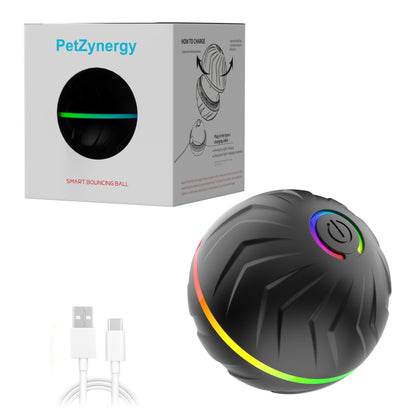 Balle sautante pour chien