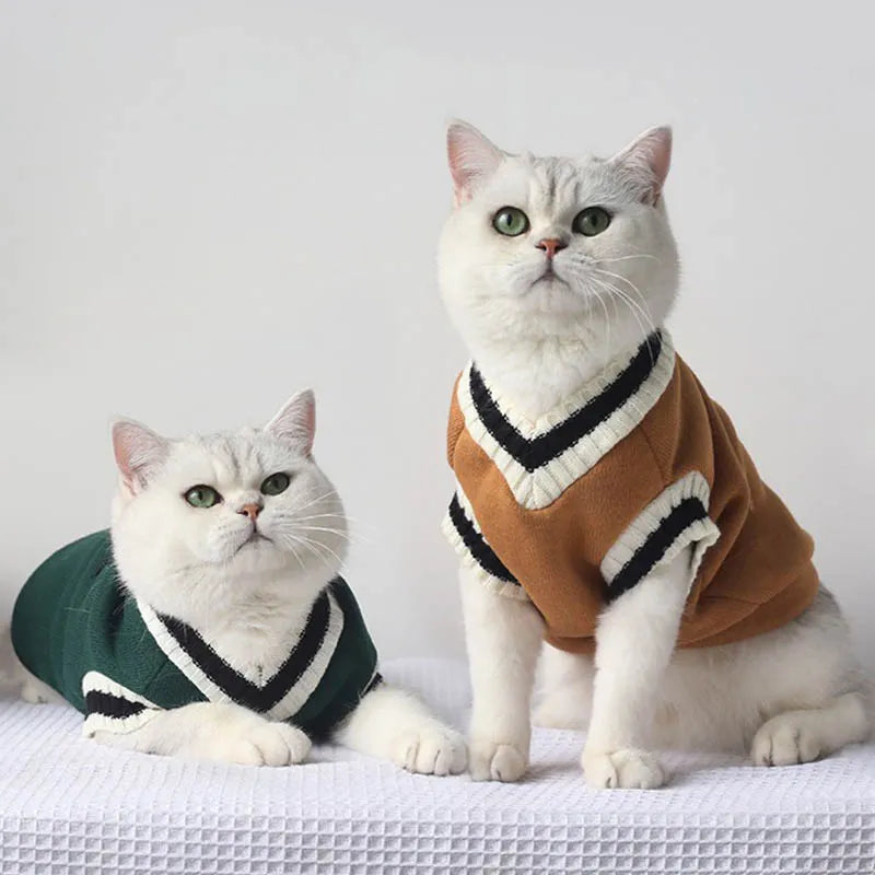 Pull-over pour Animaux de Compagnie