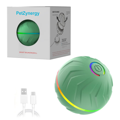 Balle sautante pour chien