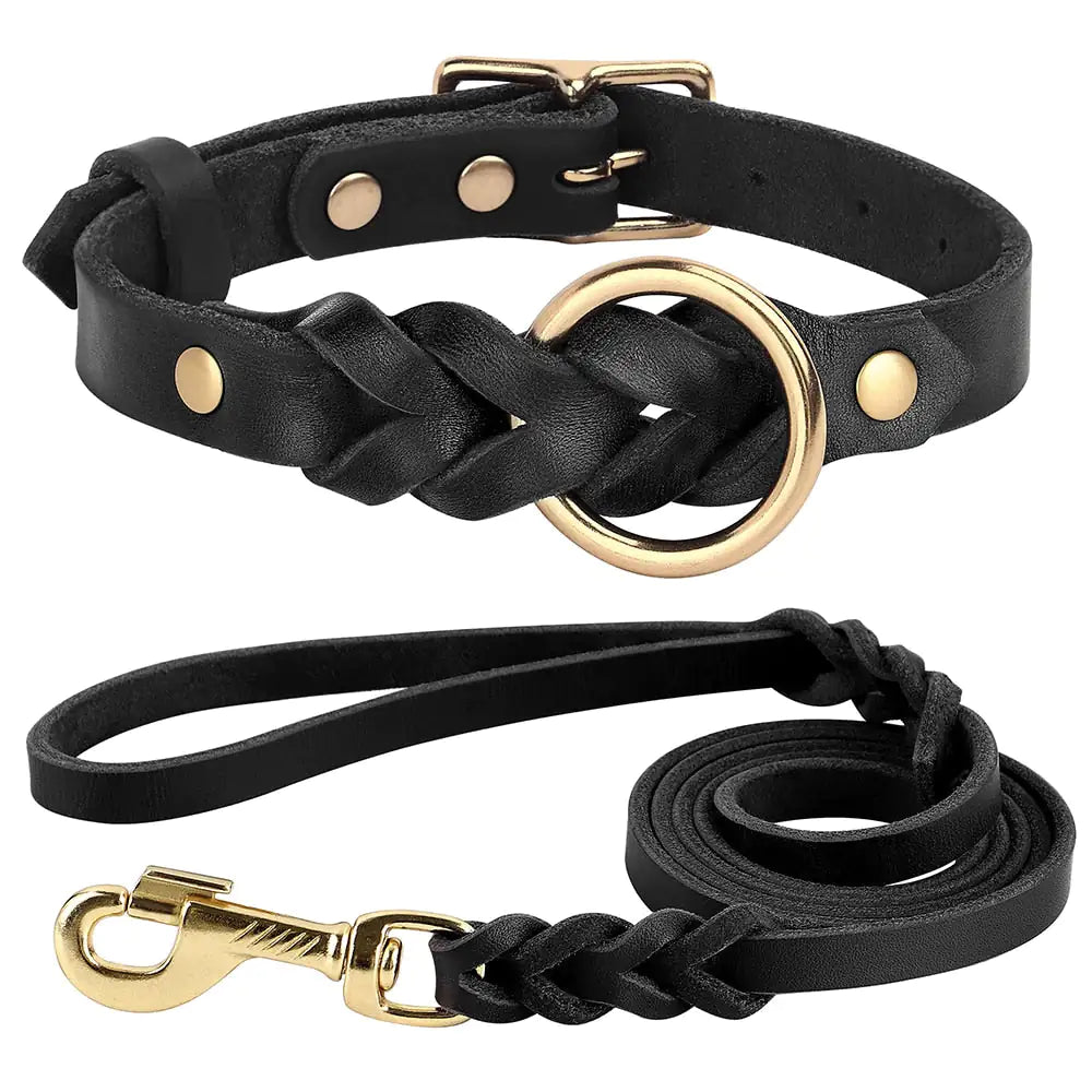 Ensemble Collier et Laisse pour Chien