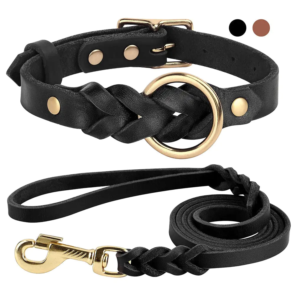 Ensemble Collier et Laisse pour Chien