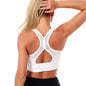 Women's Push Up Bra for Gym and Fitness