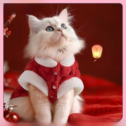 Vêtements des animaux de compagnie