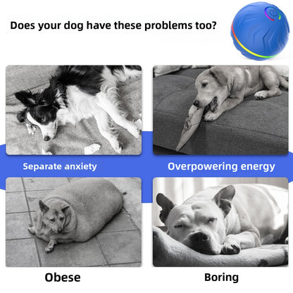 Balle sautante pour chien