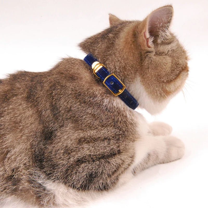 Collier pour Chat